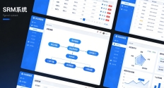 SRM系统 